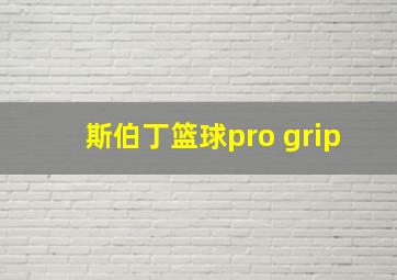 斯伯丁篮球pro grip